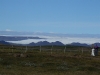 DSC7010.jpg