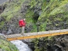 IMG_2349.jpg