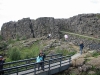 IMG_2395.jpg